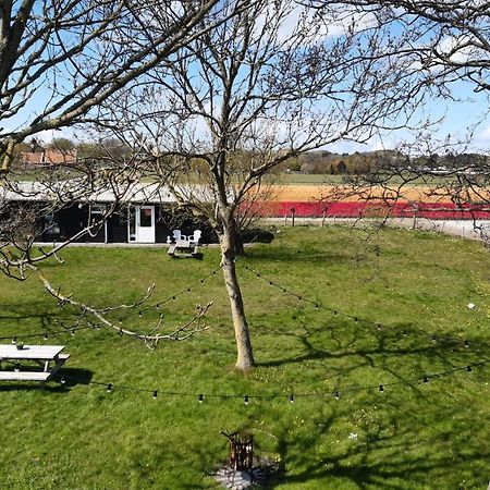 Chalet Egmond Egmond aan den Hoef Exterior photo