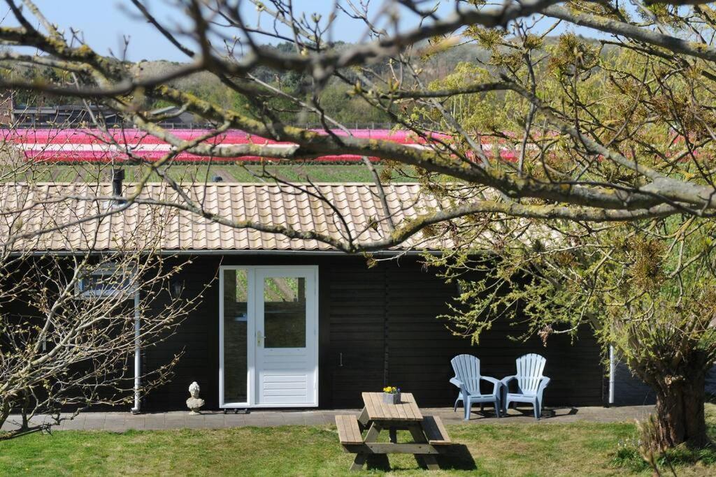 Chalet Egmond Egmond aan den Hoef Exterior photo